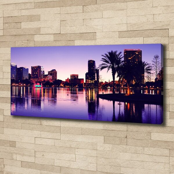 Imprimare tablou canvas Orlando, Statele Unite ale Americii