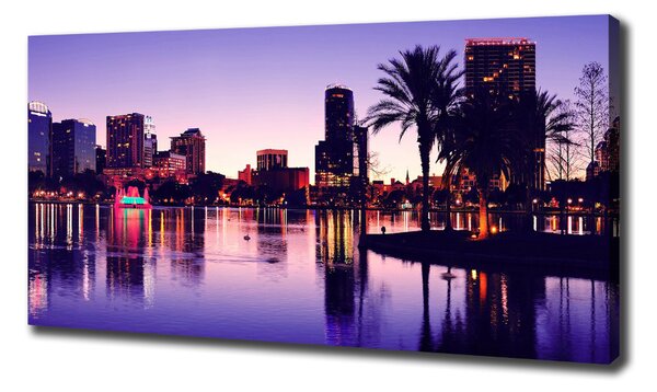 Imprimare tablou canvas Orlando, Statele Unite ale Americii