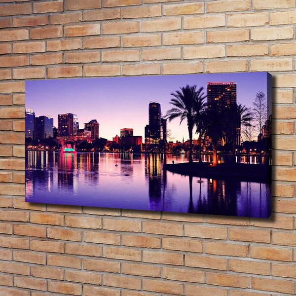 Imprimare tablou canvas Orlando, Statele Unite ale Americii