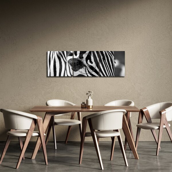 Tablou cu zebră (cu ceas) (90x30 cm)
