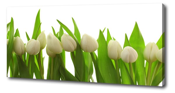 Tablou canvas lalele albe