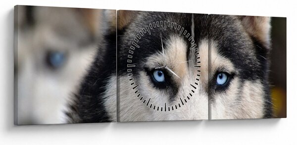 Tablou cu câinele husky (cu ceas) (90x30 cm)