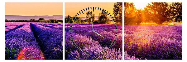 Tablou cu câmp de lavanda (cu ceas) (90x30 cm)
