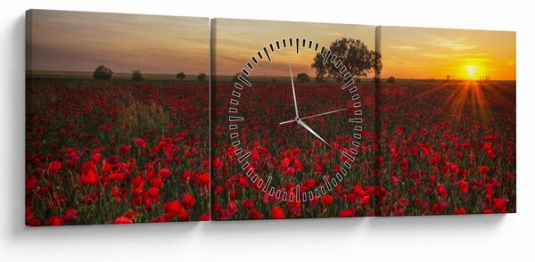 Tablou cu lunca și macii (cu ceas) (90x30 cm)