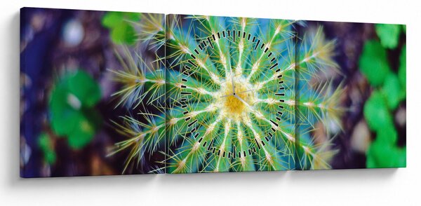 Tablou cu cactus (cu ceas) (90x30 cm)