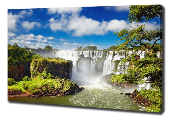 Print pe pânză cascada Argentina