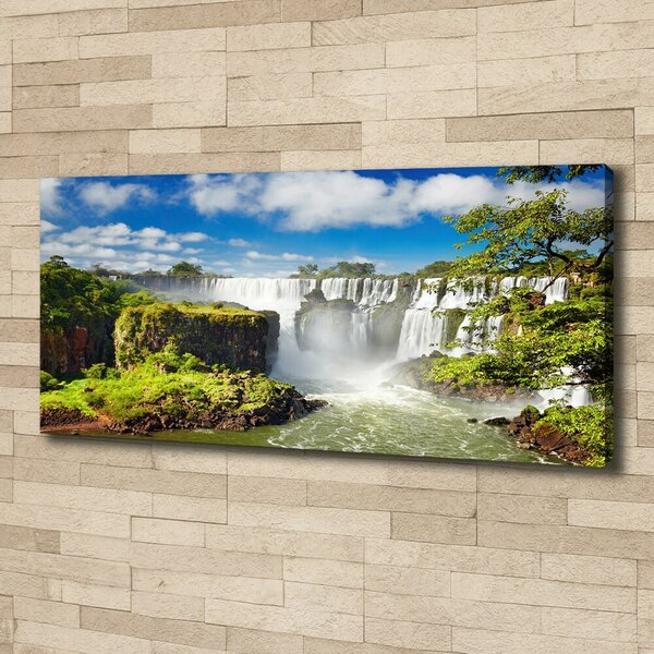 Print pe pânză cascada Argentina
