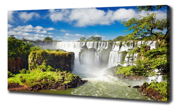 Print pe pânză cascada Argentina