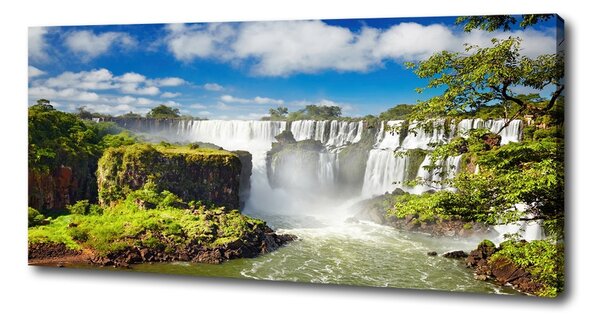 Print pe pânză cascada Argentina