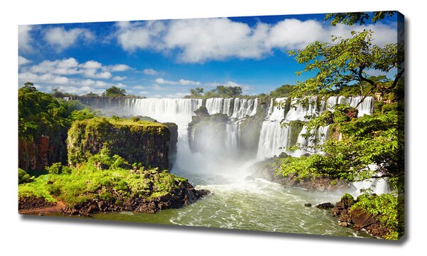 Print pe pânză cascada Argentina