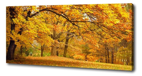 Print pe canvas Toamna în parc