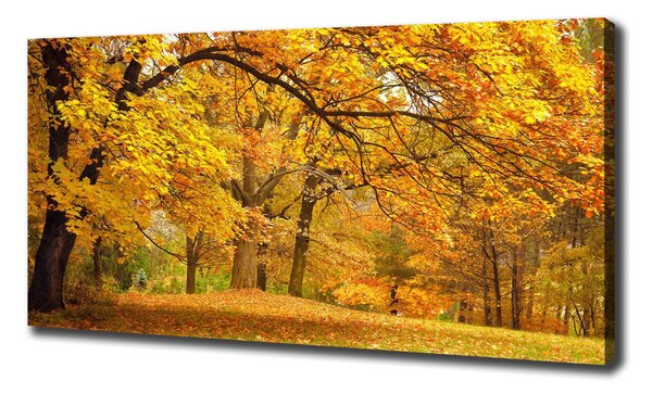 Print pe canvas Toamna în parc