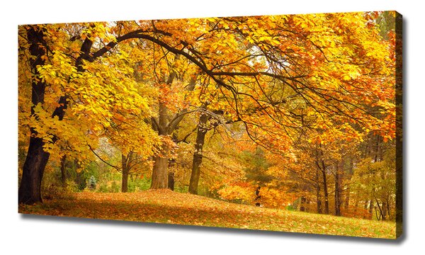 Print pe canvas Toamna în parc