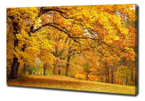 Print pe canvas Toamna în parc
