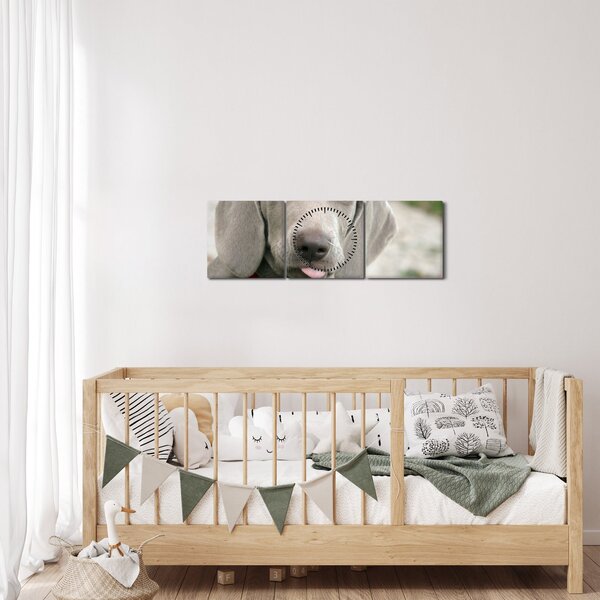Tablou - cățeluș weimaraner (cu ceas) (90x30 cm)
