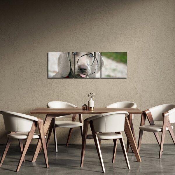 Tablou - cățeluș weimaraner (cu ceas) (90x30 cm)