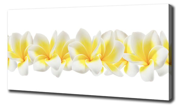 Print pe canvas plumeria