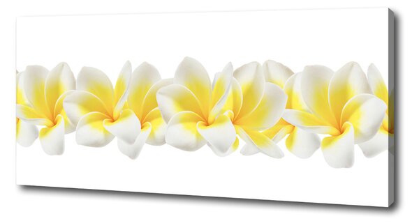Print pe canvas plumeria