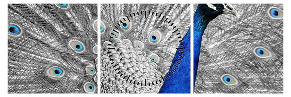 Tablou - păun albastru (cu ceas) (90x30 cm)