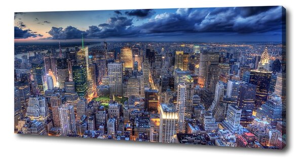 Tablou pe pânză canvas New York pasăre de zbor