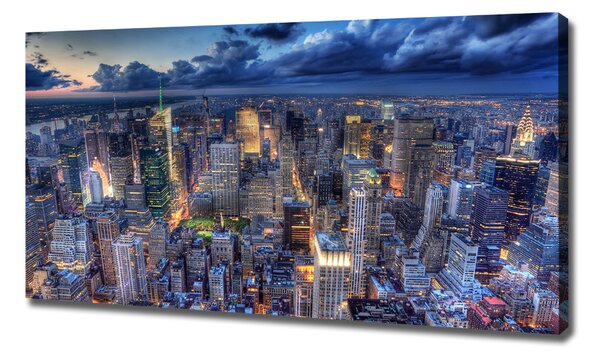 Tablou pe pânză canvas New York pasăre de zbor