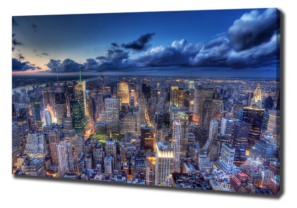 Tablou pe pânză canvas New York pasăre de zbor