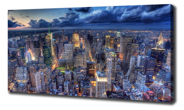 Tablou pe pânză canvas New York pasăre de zbor