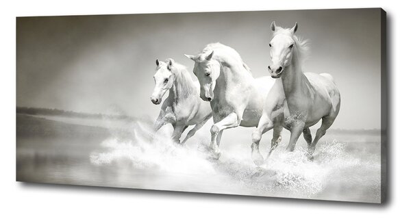 Tablou pe pânză canvas valuri înspumate