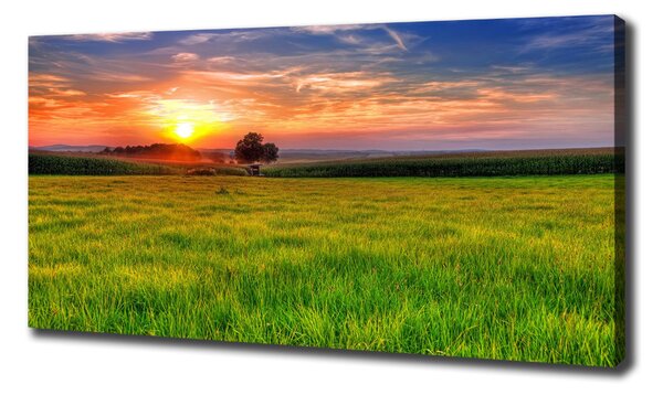 Tablou canvas Sunset Meadow
