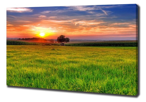 Tablou canvas Sunset Meadow