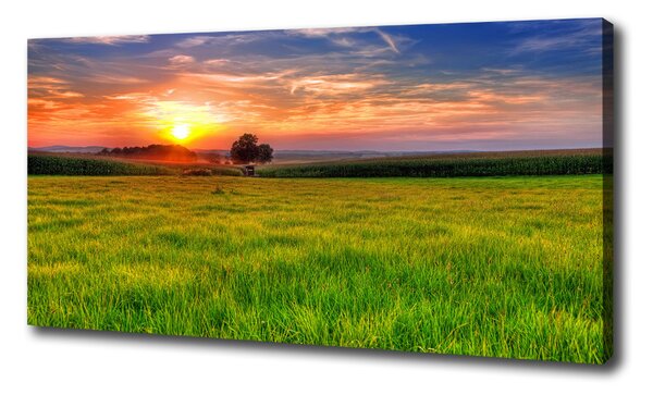 Tablou canvas Sunset Meadow
