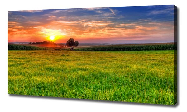 Tablou canvas Sunset Meadow