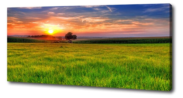 Tablou canvas Sunset Meadow