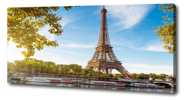 Tablou pe pânză canvas Turnul Eiffel din Paris