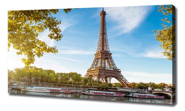 Tablou pe pânză canvas Turnul Eiffel din Paris