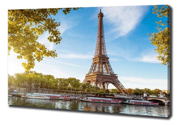Tablou pe pânză canvas Turnul Eiffel din Paris