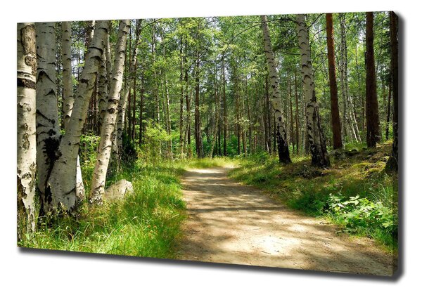 Pictură pe pânză Calea în pădure