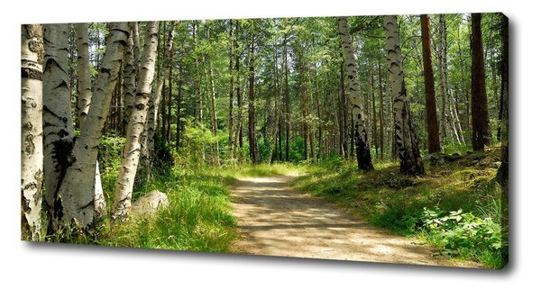 Pictură pe pânză Calea în pădure