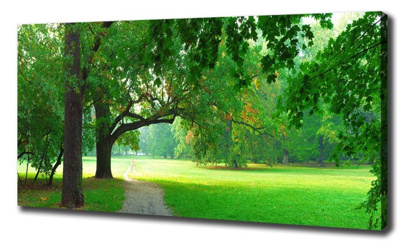 Print pe canvas Park din toamna