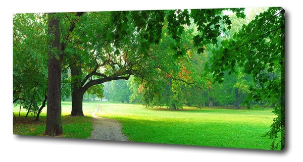 Print pe canvas Park din toamna