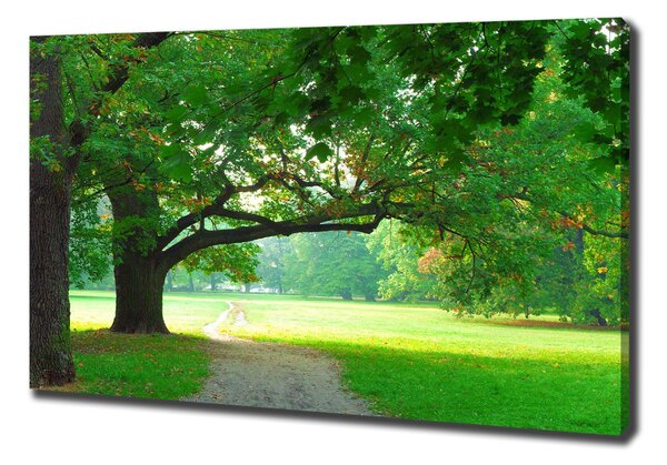 Print pe canvas Park din toamna