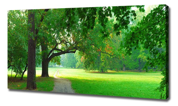 Print pe canvas Park din toamna