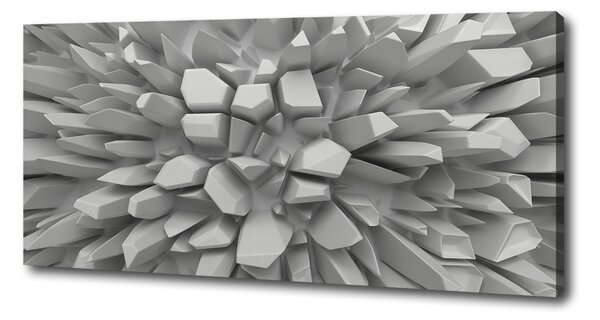 Tablou canvas 3D Abstracție