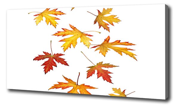 Tablou canvas Frunze de toamna
