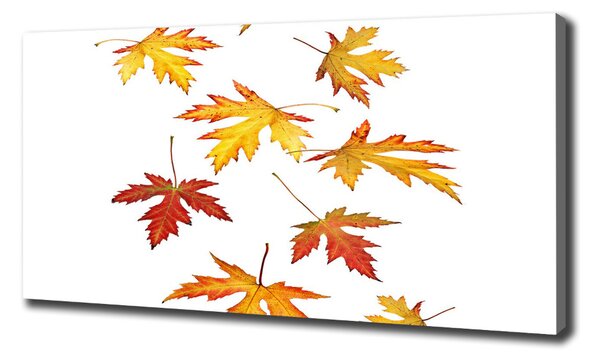 Tablou canvas Frunze de toamna