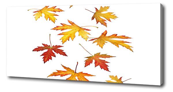 Tablou canvas Frunze de toamna