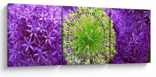 Tablou cu floare (cu ceas) (90x30 cm)