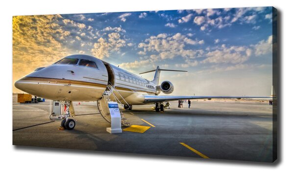 Tablou pe pânză canvas Avion