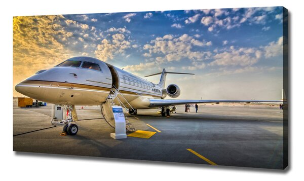 Tablou pe pânză canvas Avion