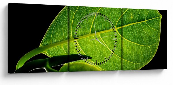 Tablou - frunză verde (cu ceas) (90x30 cm)